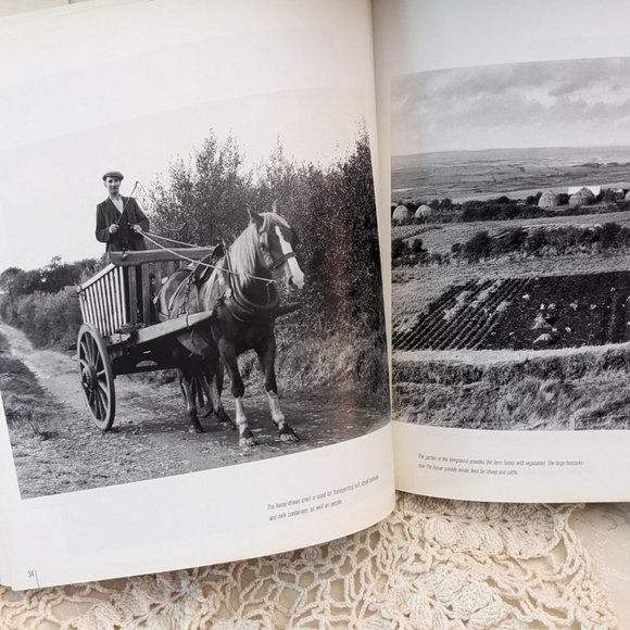 Dorothea Lange's Ireland by Gerry Mullins (1998, Trade Paperback) - Picture 3 of 15